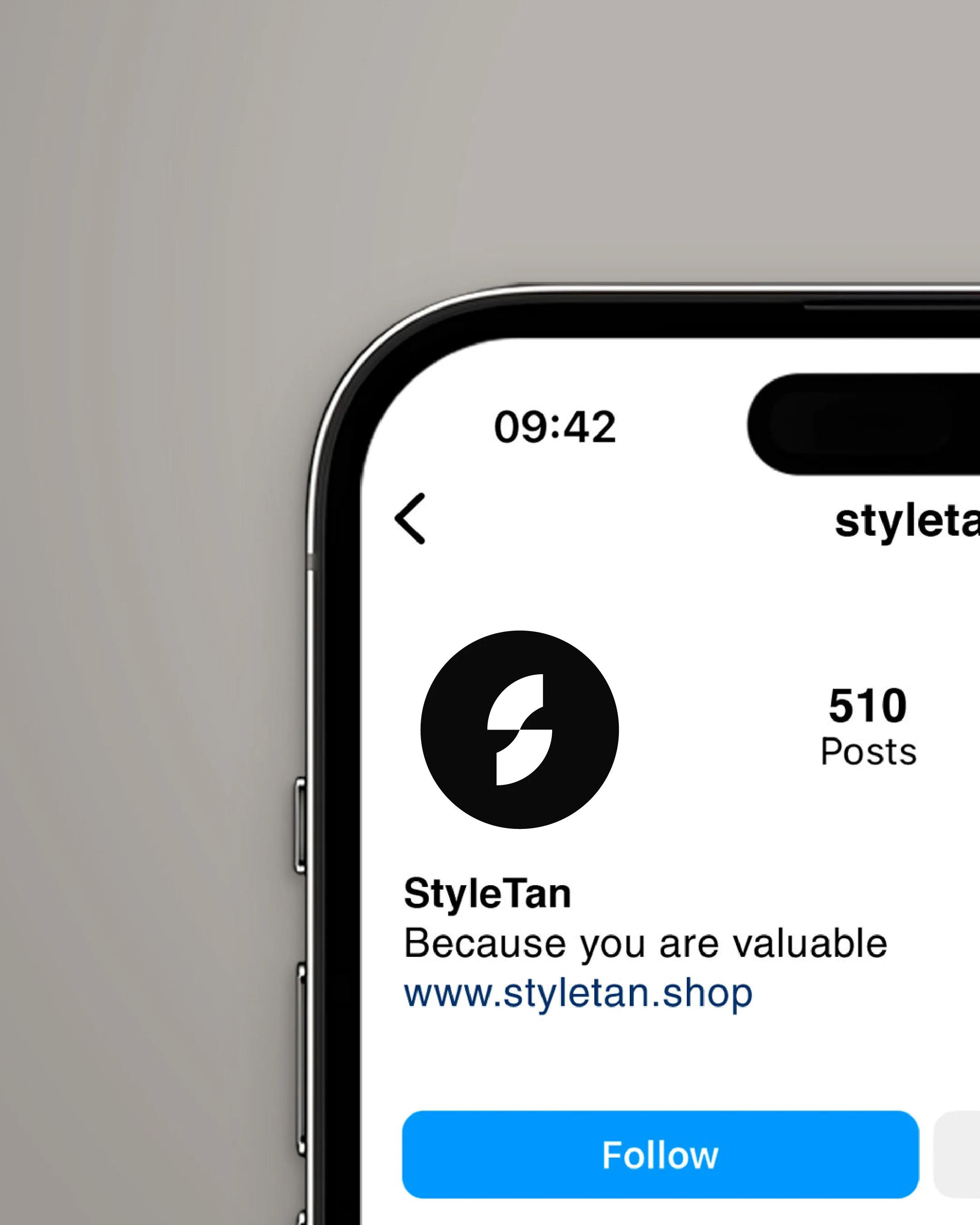 Styletan - Logo Tasarımı