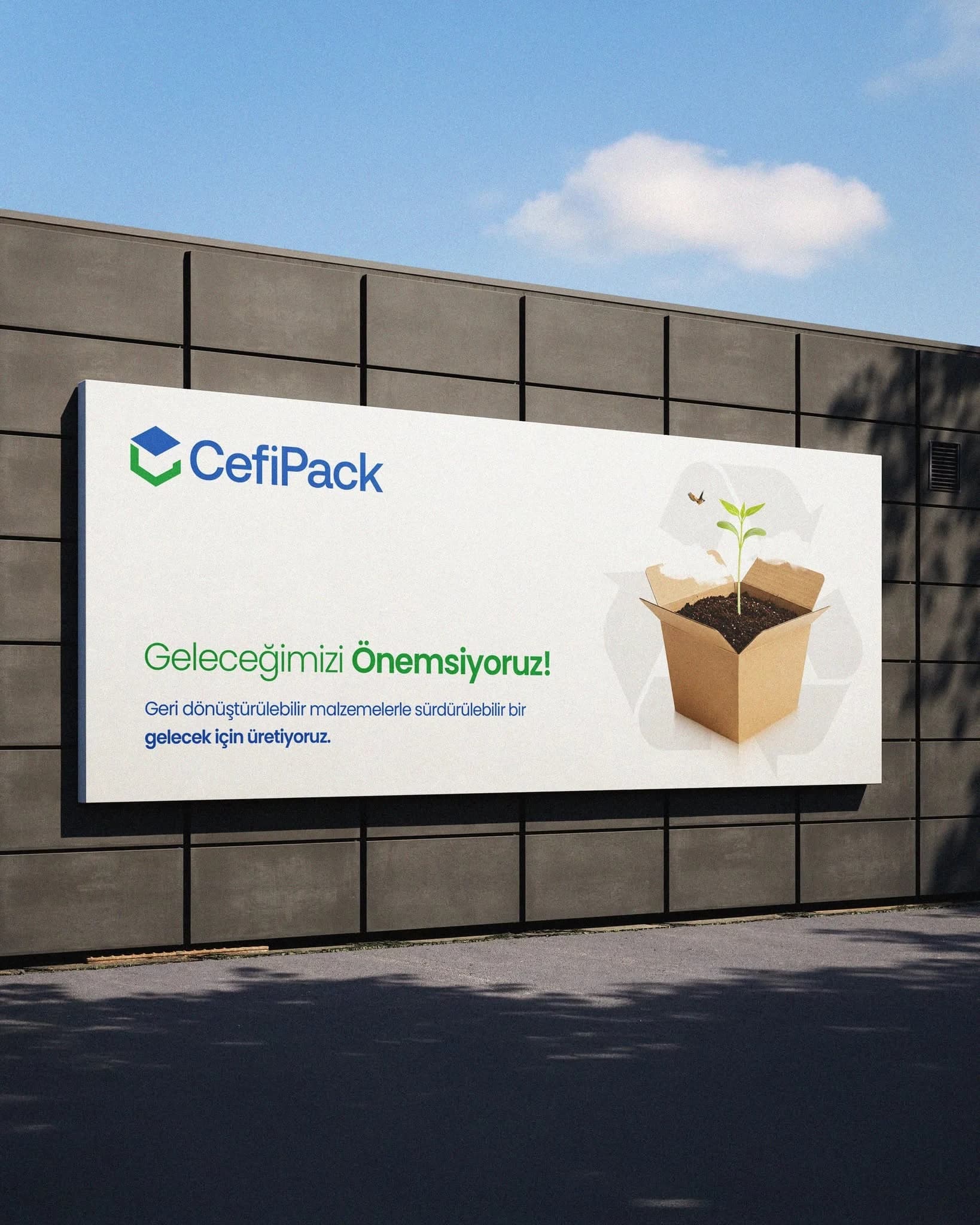 Cefipack - Logo Tasarımı